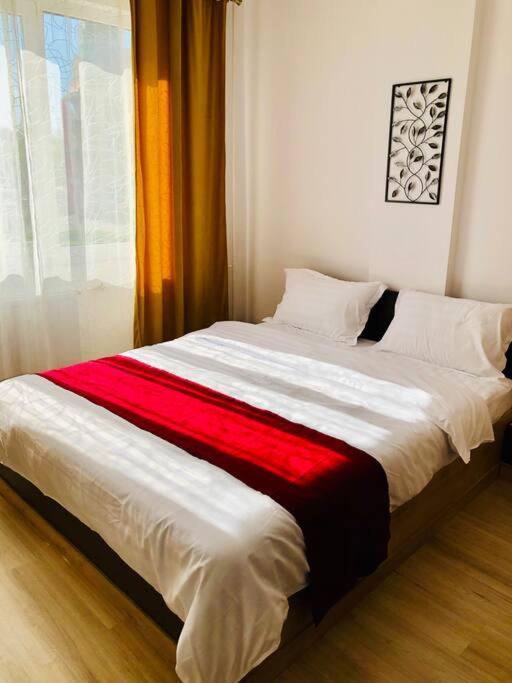 Joy City Stay Victoriei 7G-9 Timişoara Eksteriør bilde