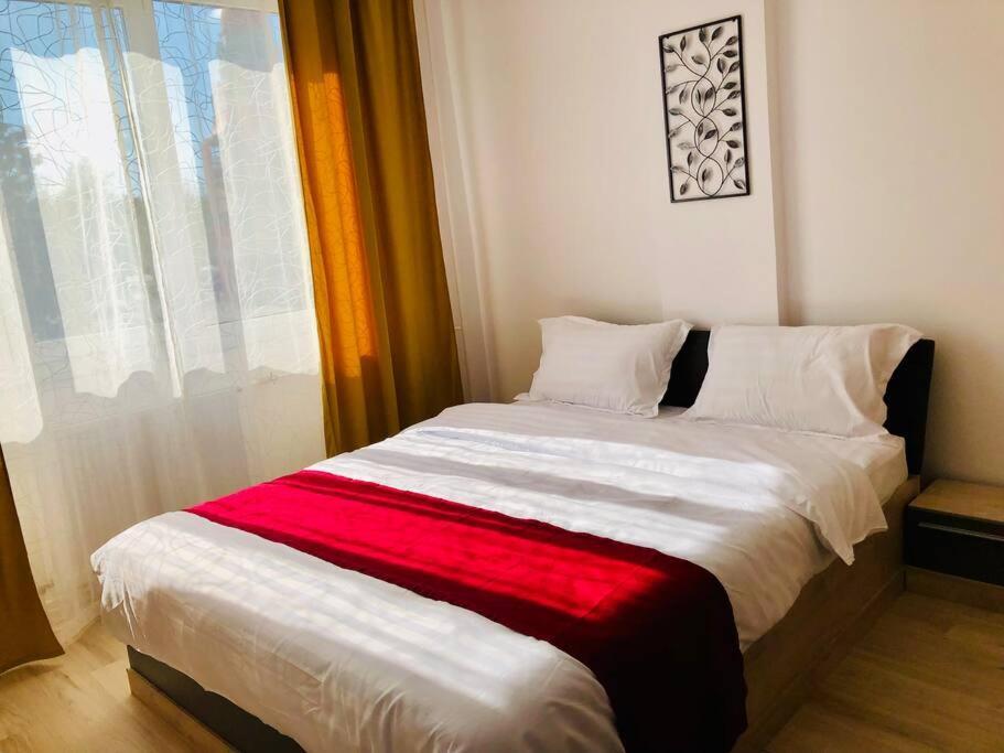 Joy City Stay Victoriei 7G-9 Timişoara Eksteriør bilde